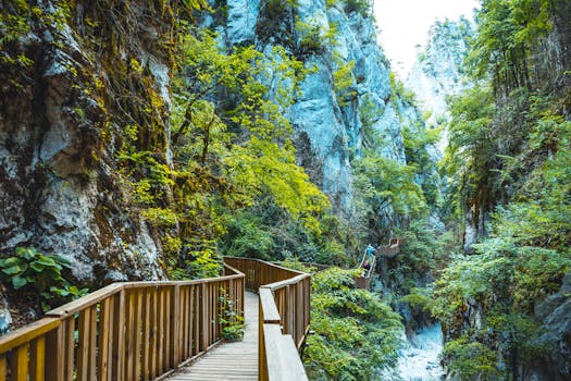 hiking trail with mountains