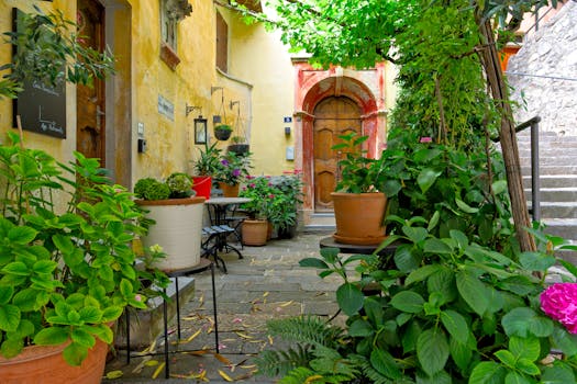 urban garden with potted plants